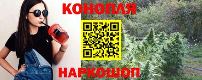 сатива Славгород