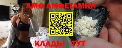 сатива Славгород